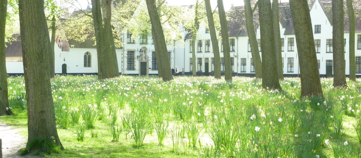 Visiter Bruges au printemps
