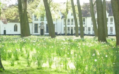 Visiter Bruges au printemps