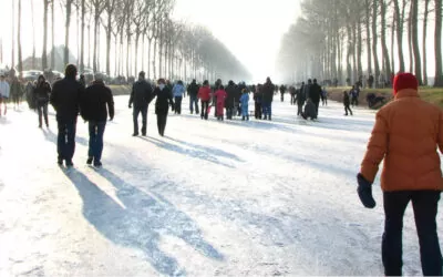 Visiter Bruges en hiver