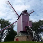 moulin nouveau perroquet Bruges