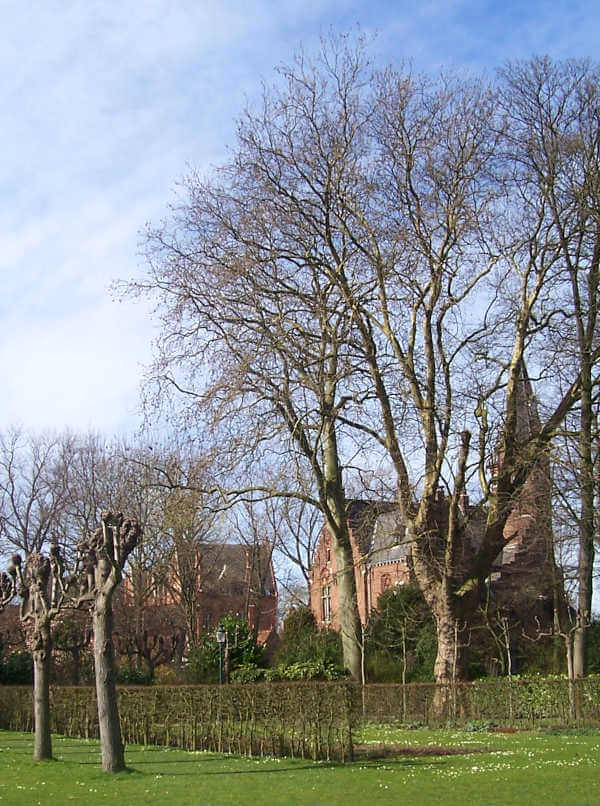 Parc du Roi Albert 1 Parc du roi Albert