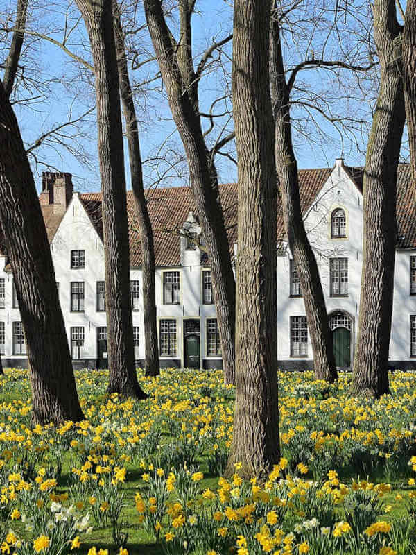 Béguinage de la Vigne