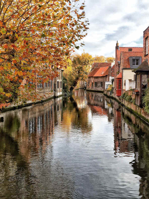 Les canaux de Bruges à l'automne