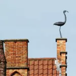 Bruges, sculpture sur toit